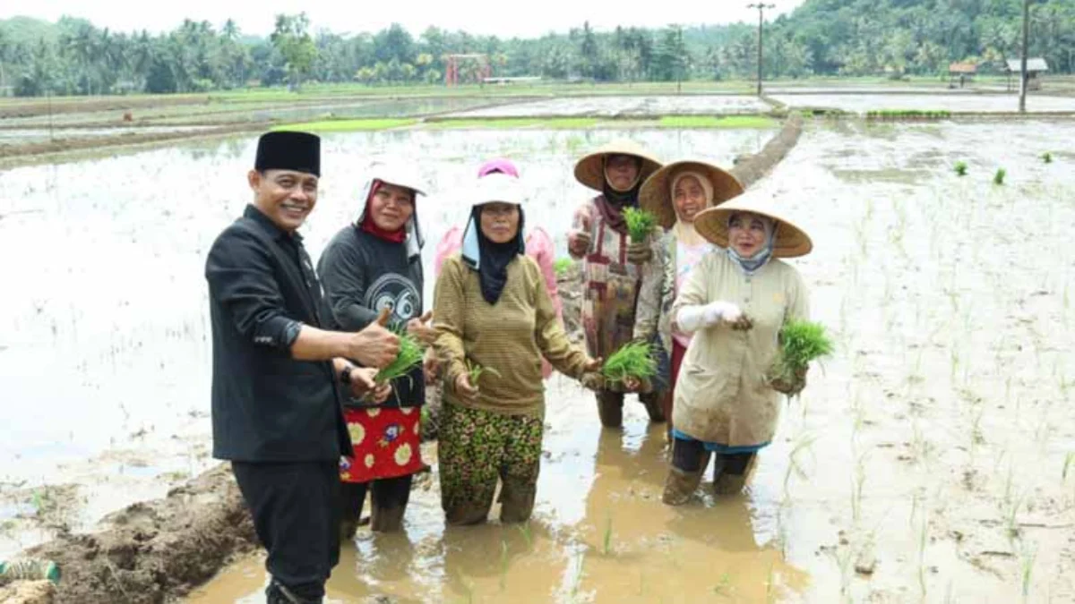 Pupuk Bersubsidi