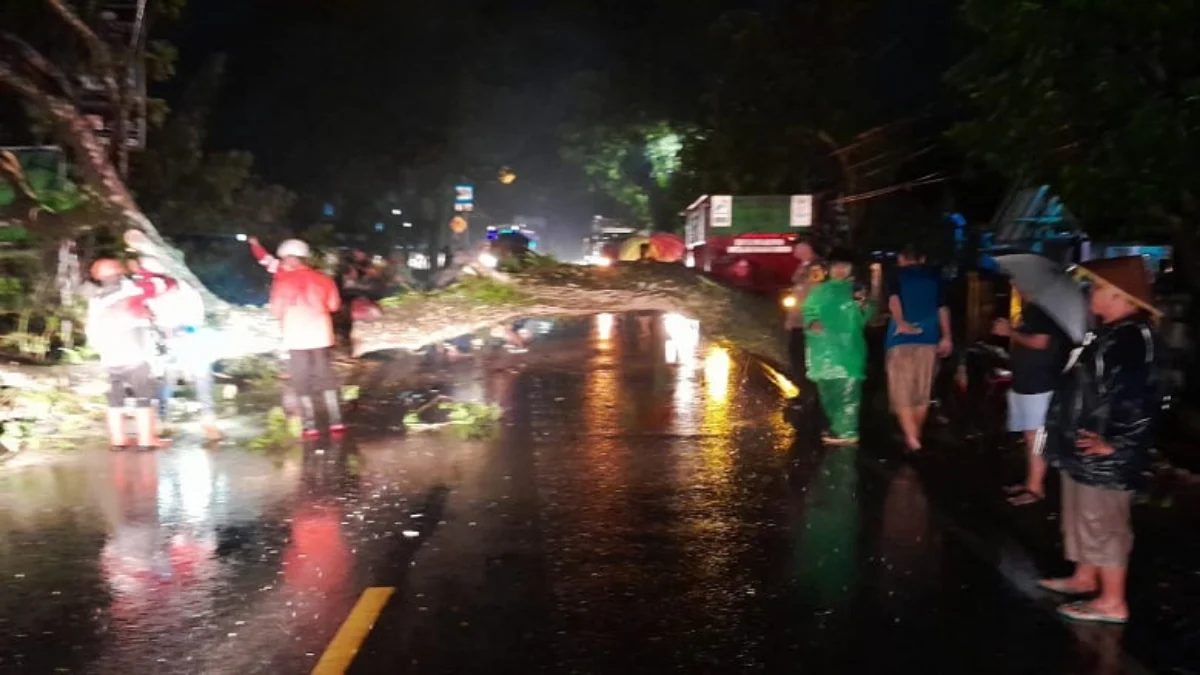 pohon tumbang di jalan raya cijeungjing