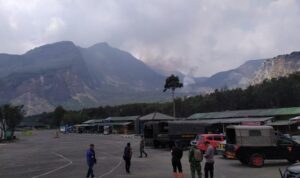 Penyebab Kebakaran Hutan Gunung Papandayan Garut