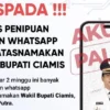 Wakil Bupati Ciamis Yana D Putra