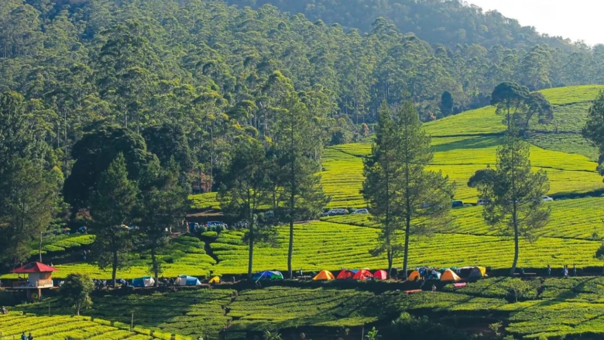 Rekomendasi Tempat Camping di Bandung, Tempat Camping di Kabupaten Bandung