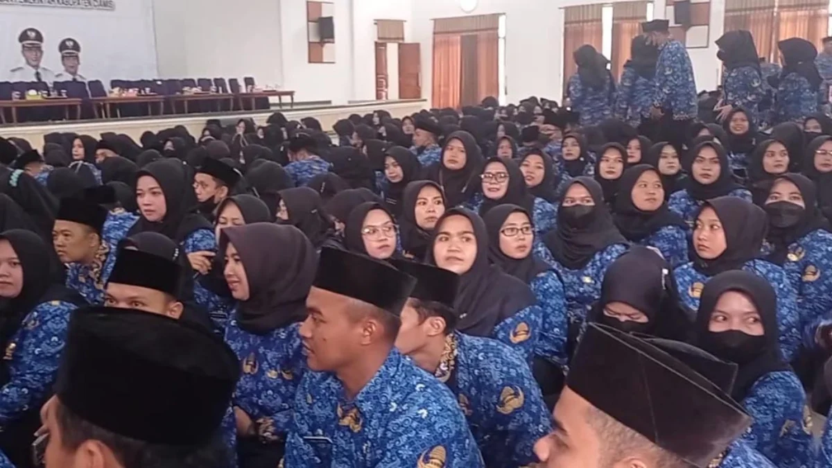 diangkat menjadi PPPK