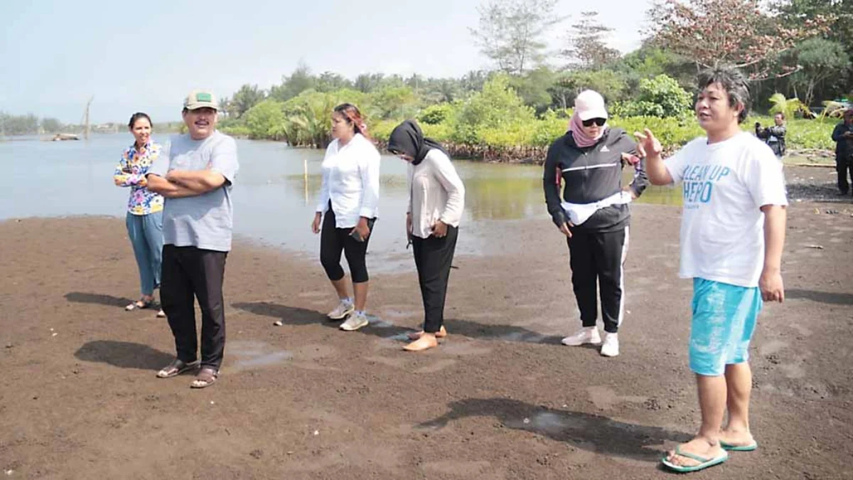 Pohon Mangrove