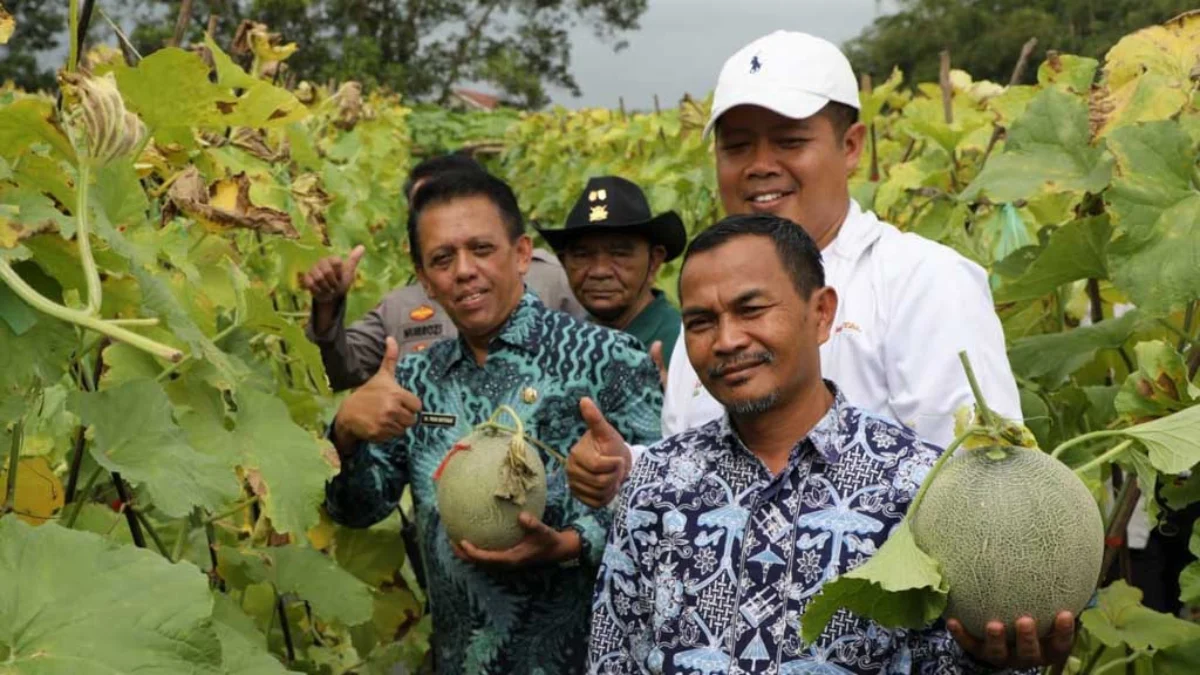 agro digital tasikmalaya