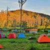 Camping Ranca Upas Bandung, Ranca Upas