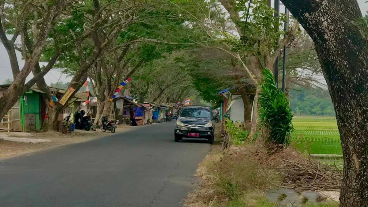 Penataan Kawasan Bulak Sawah