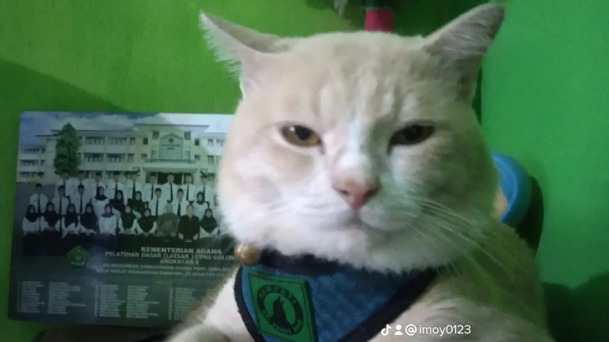 Sejarah kucing Peradaban kucing