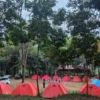 Ini tempat camping palutungan kuningan