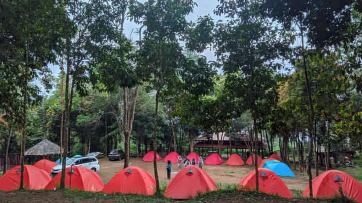 Ini tempat camping palutungan kuningan