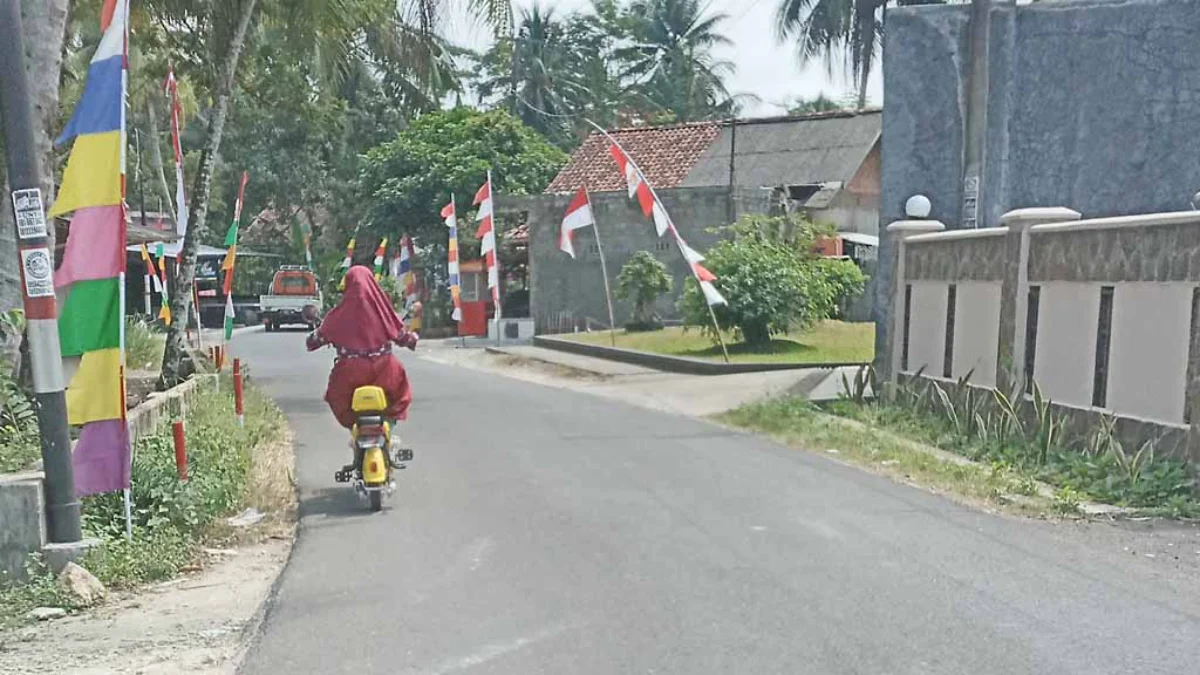 Penggunaan Sepeda Listrik