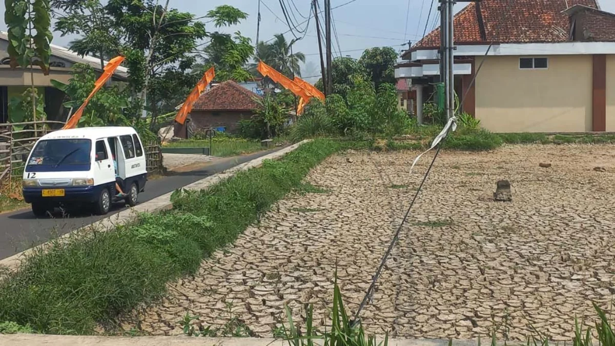 petani di kabupaten ciamis