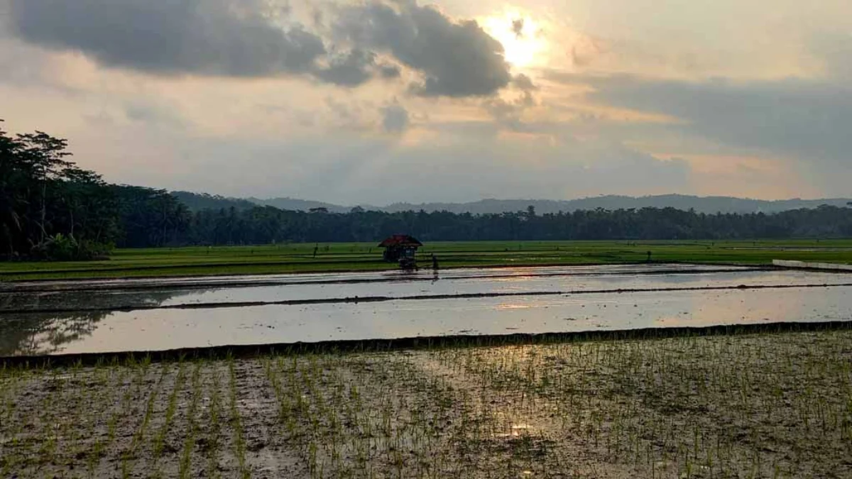 Petani Kabupaten Pangandaran