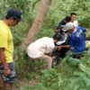 Pelajar SMP di Tasikmalaya terjun ke jurang