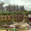 Dusun Bambu