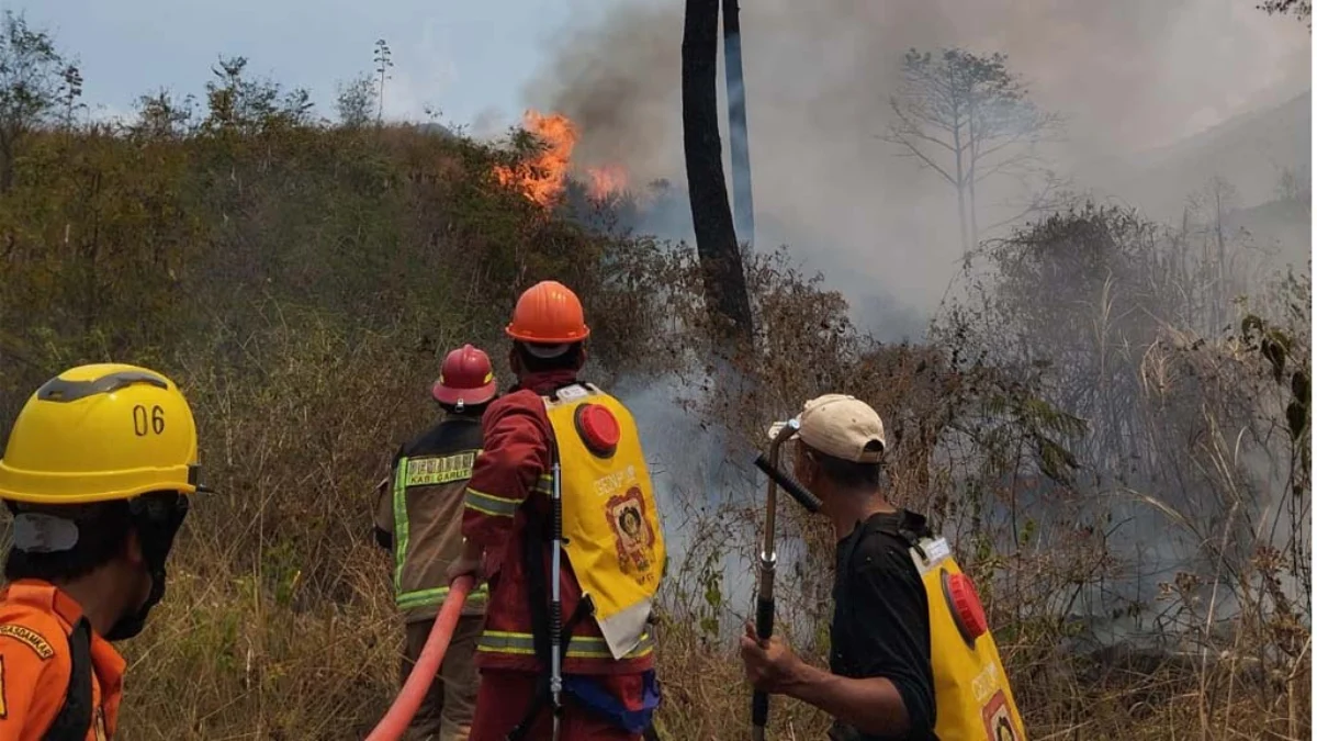 Kebakaran di Gunung Guntur