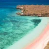 Keajaiban Alam yang Langka, 3 Pantai di Indonesia Ini Berpasir Warna Pink