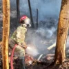 kebakaran lahan dan hutan