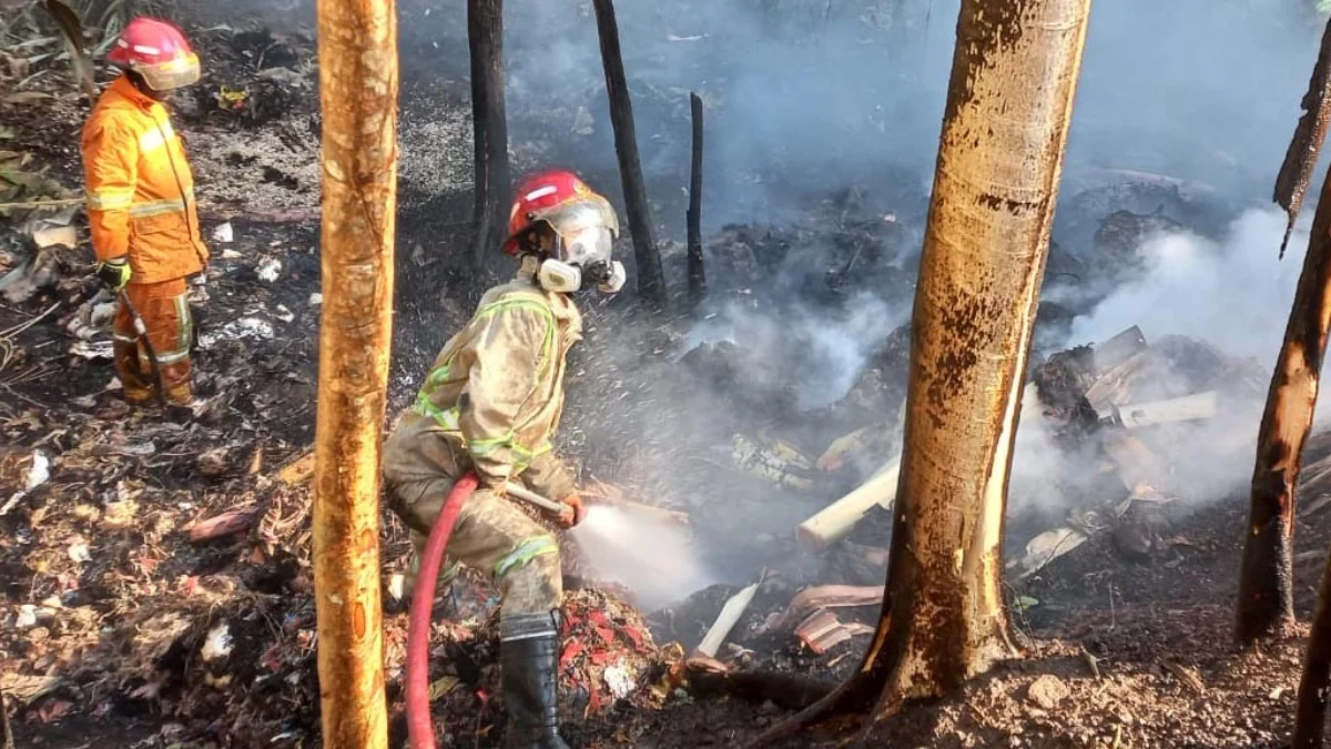 kebakaran lahan dan hutan