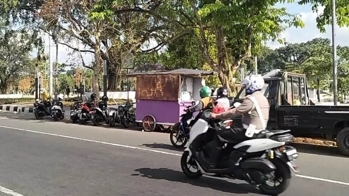 alun-alun ciamis sudah cantik tapi bingung pengunjung harus parkir dimana