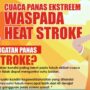 Heat Stroke Akibat Suhu Panas Ekstrem