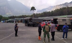 Hutan Gunung Papandayan Garut