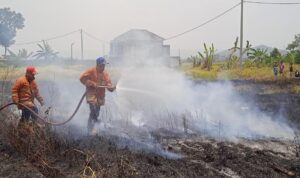 Kebakaran Lahan di Kota Banjar