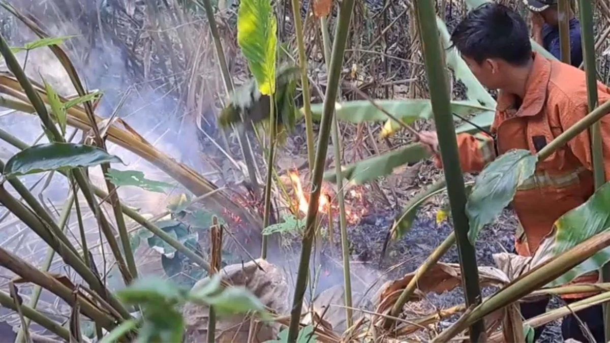 Kebakaran di Gunung Sangkur