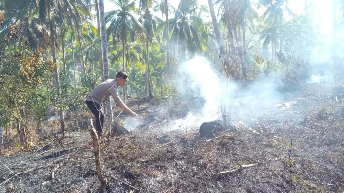 kebakaran lahan di Pangandaran