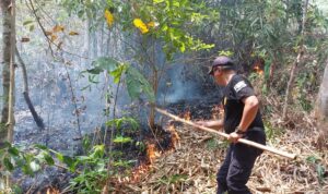 kebakaran lahan di kota banjar