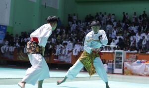 Pesilat Perisai Diri, Dadaha