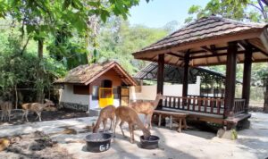 Taman Satwa Cikembulan Garut