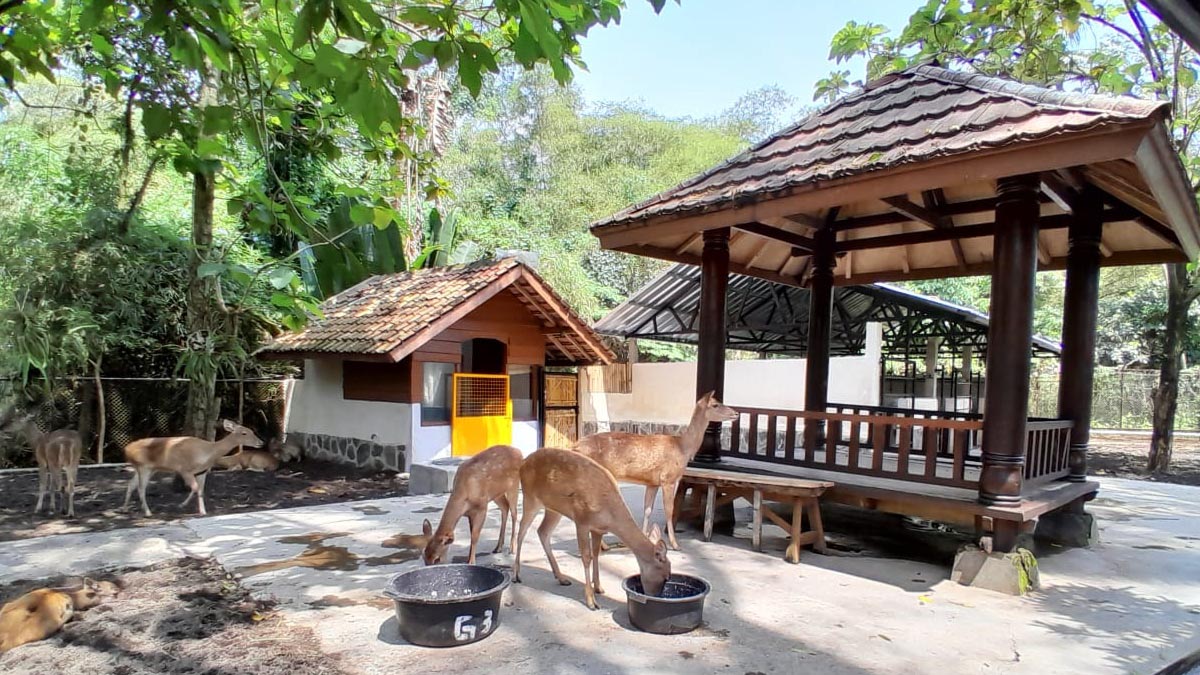 Lokawisata Garut Taman Satwa Cikembulan