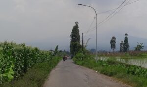 pju di jalan sukapadang