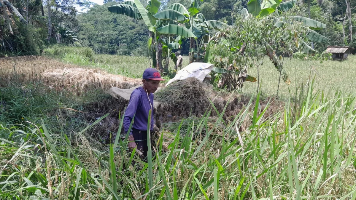 kartu tani di kabupaten tasikmalaya