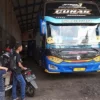 tarif bus