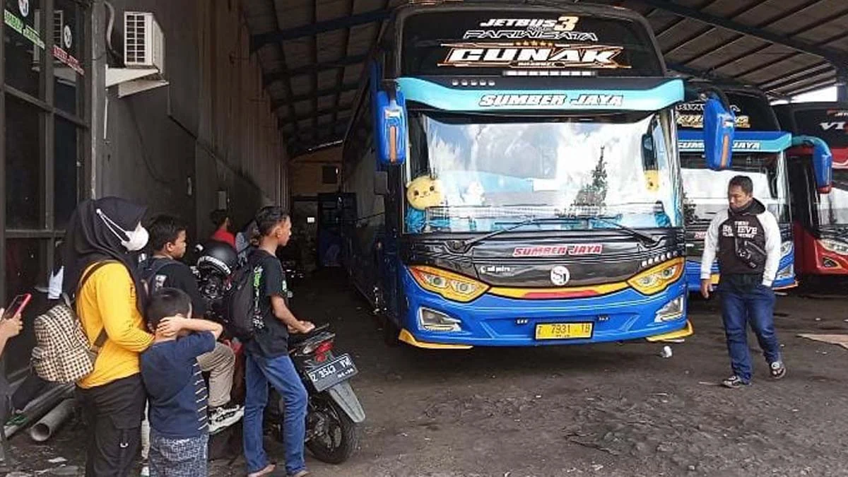 tarif bus