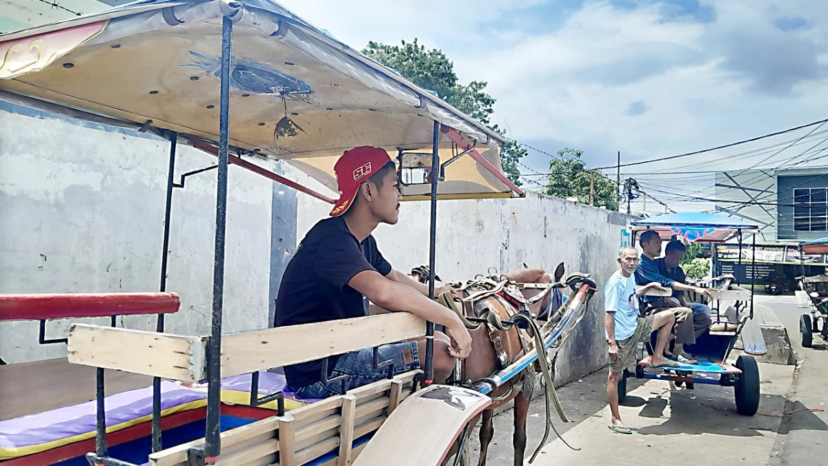 delman di kabupaten garut kembali turun ke jalan