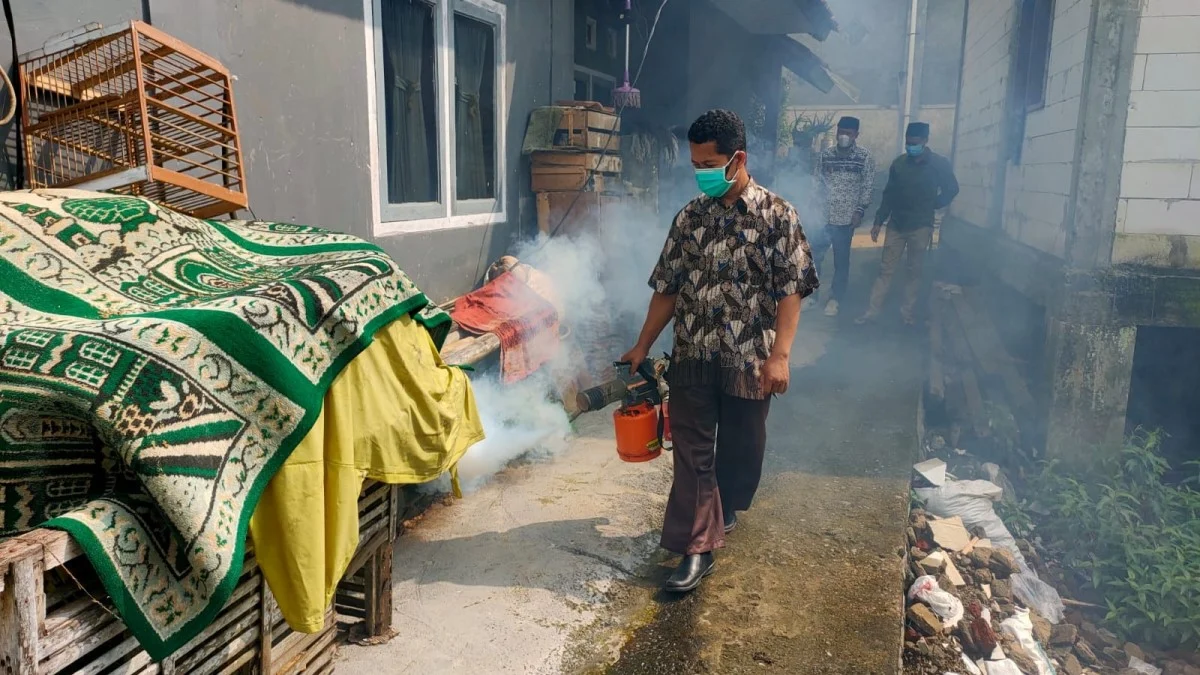 demam berdarah dengue