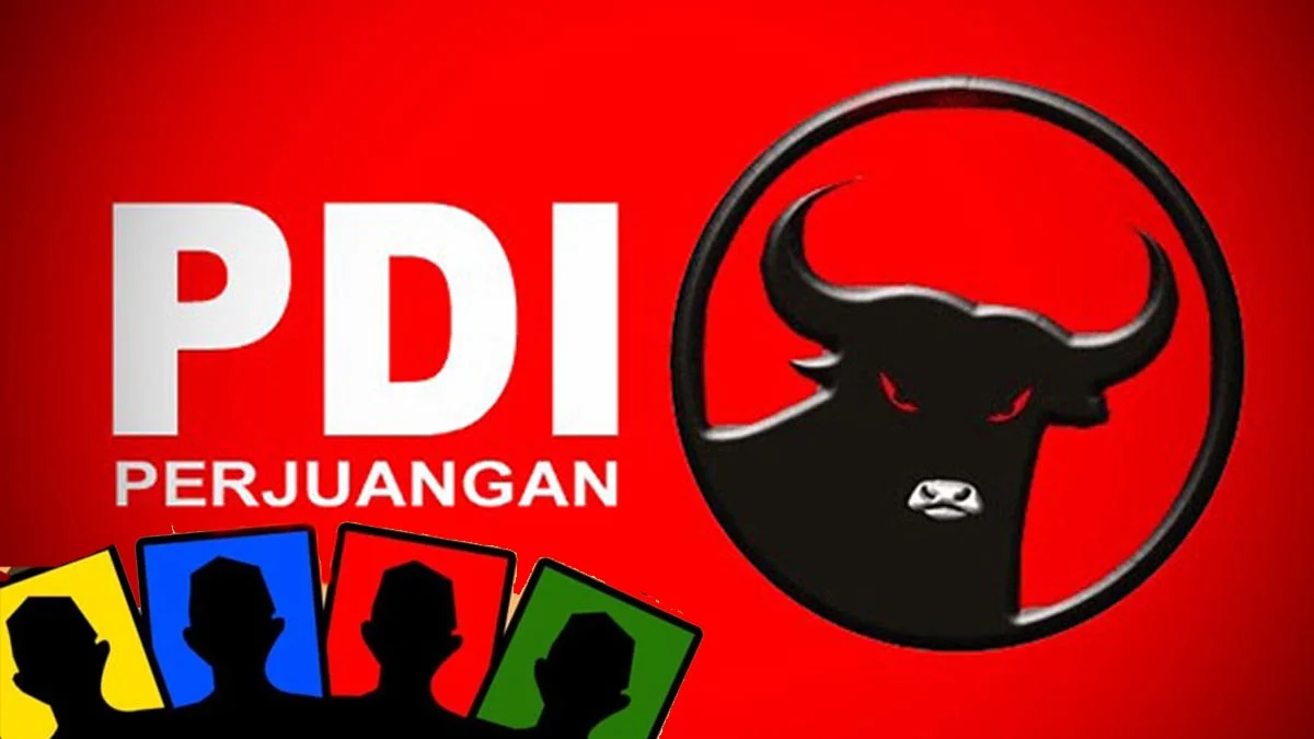 pdip