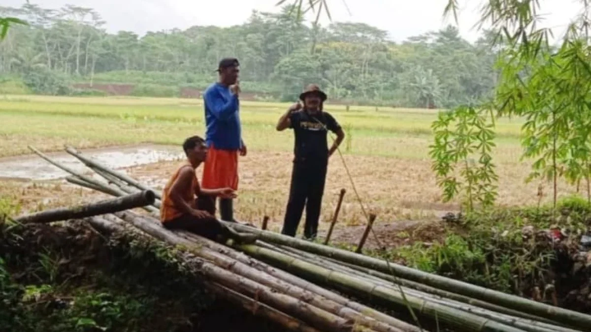 Pemuda Serikat Kecamatan Sukaresik