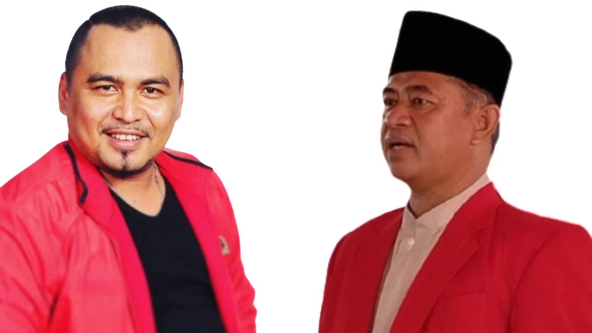 Pdi perjuangan, calon wali kota, pilkada