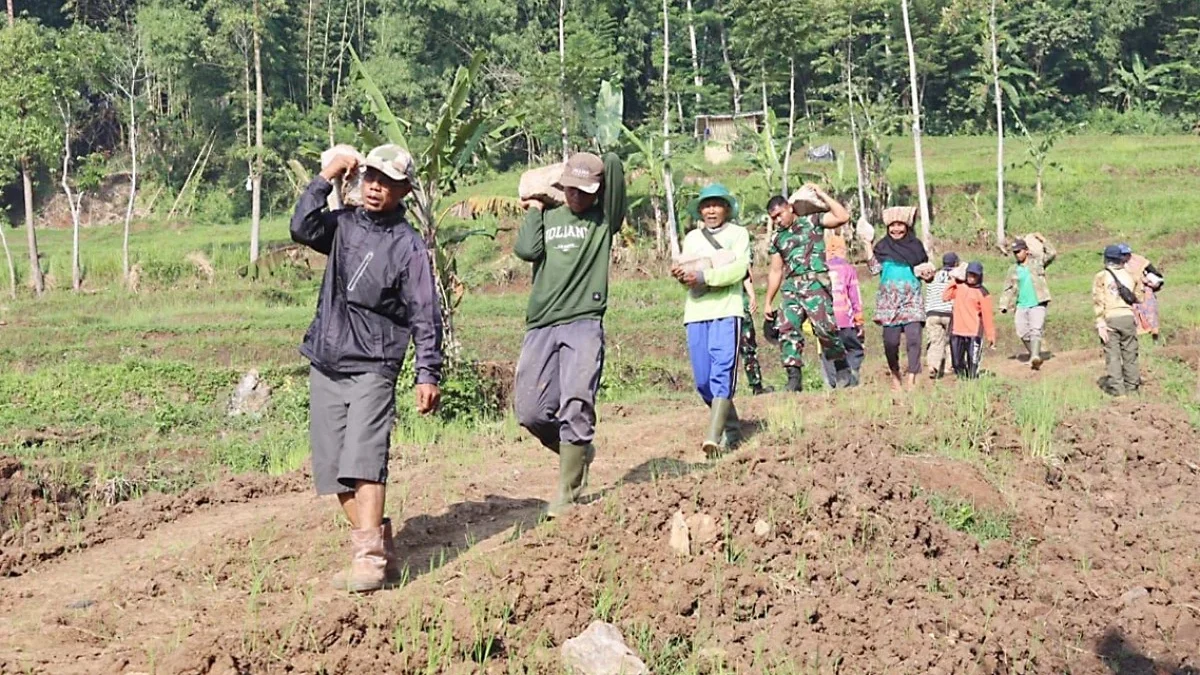 desa cinta damai