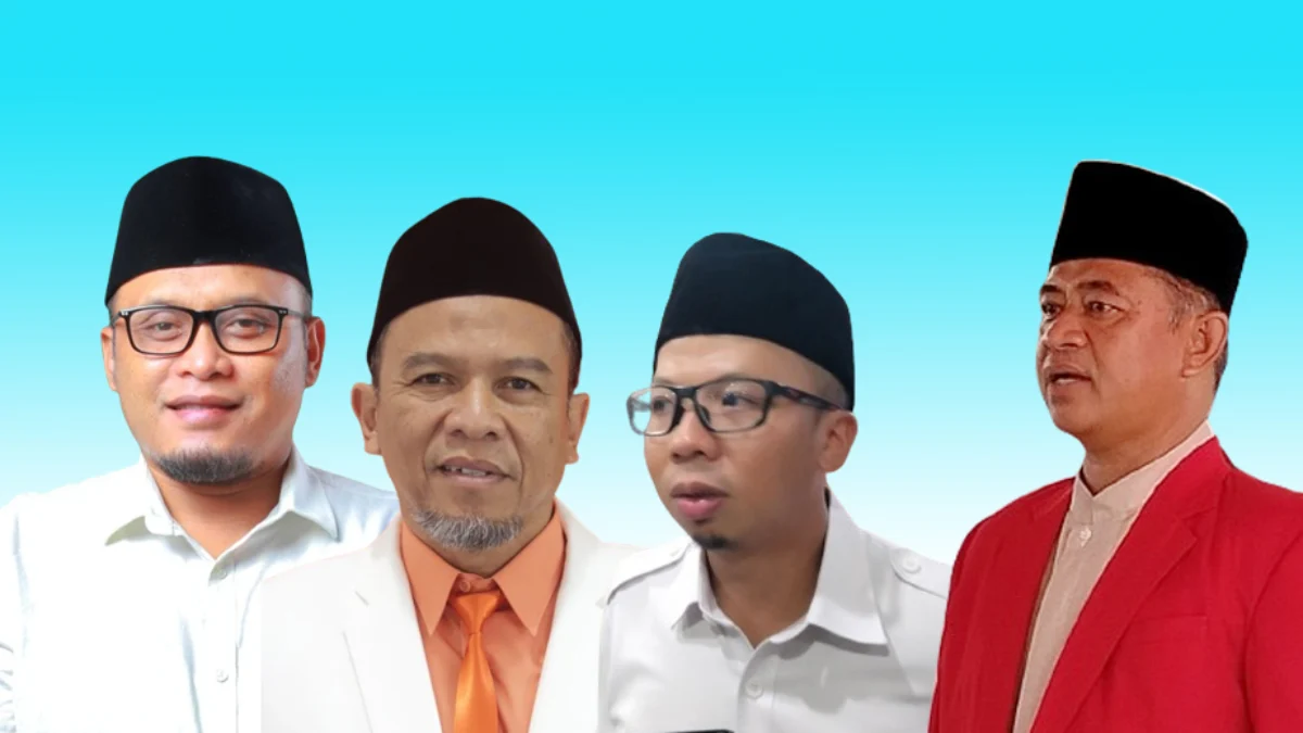 caleg terpilih, pilkada, kandidat