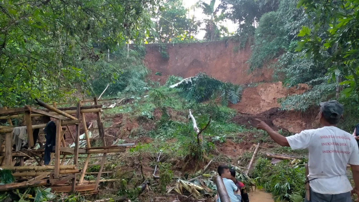 sawah dan kolam ikan di Desa Tanjungkerta