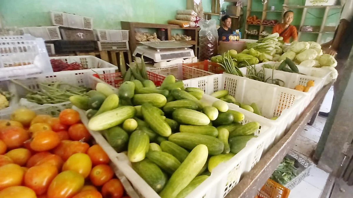 produksi sayuran di kabupaten pangandaran