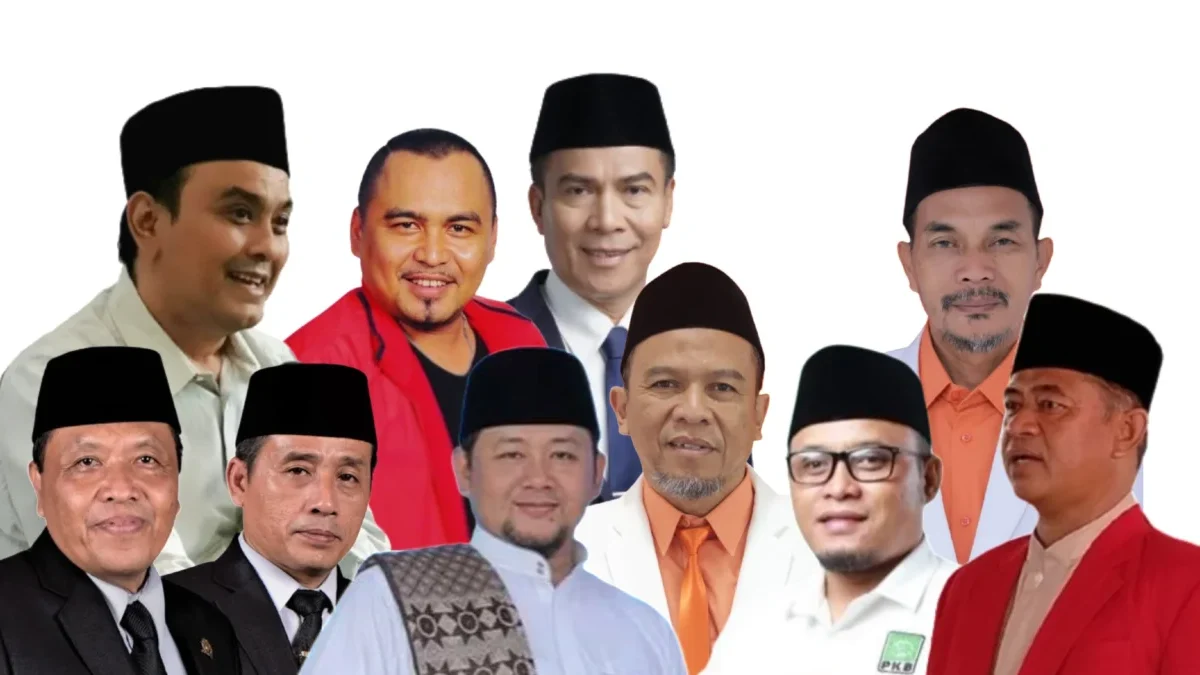 Kandidat pilkada, calon wakil, wali kota tasikmalaya