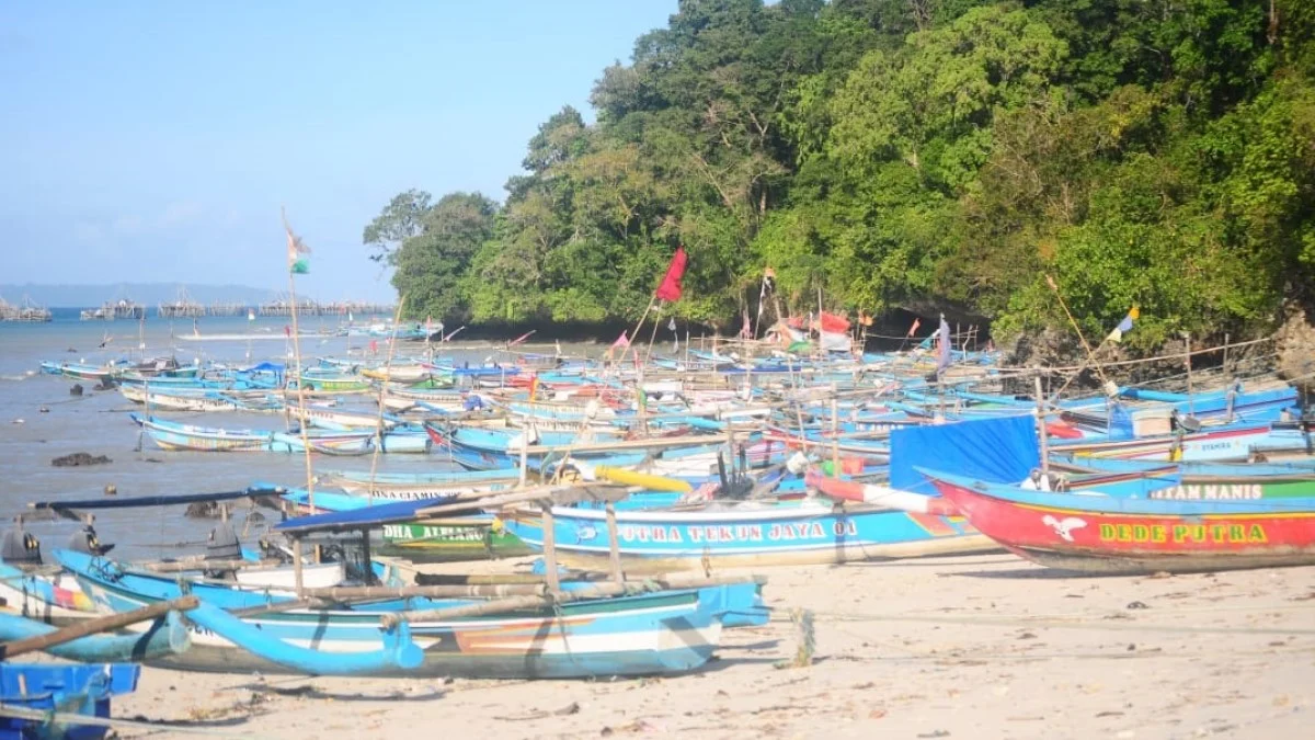 Produksi Udang Lobster di Kabupaten Pangandaran