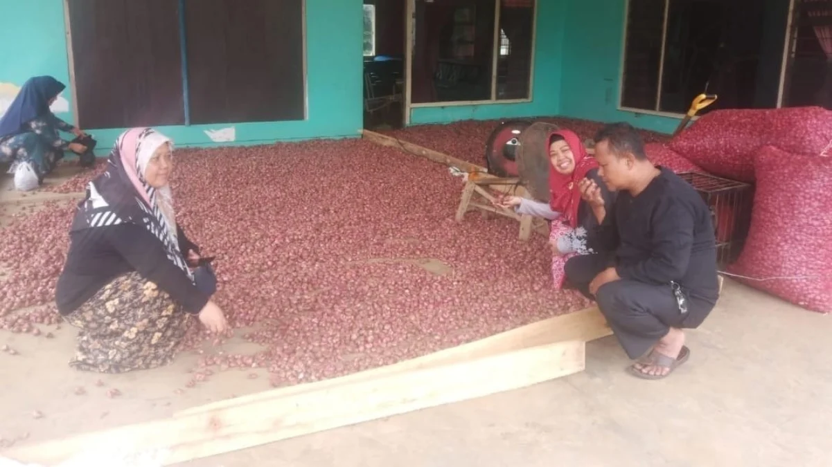 harga bawang merah