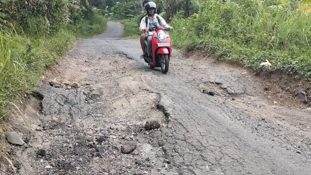 jalan desa mandalamekar