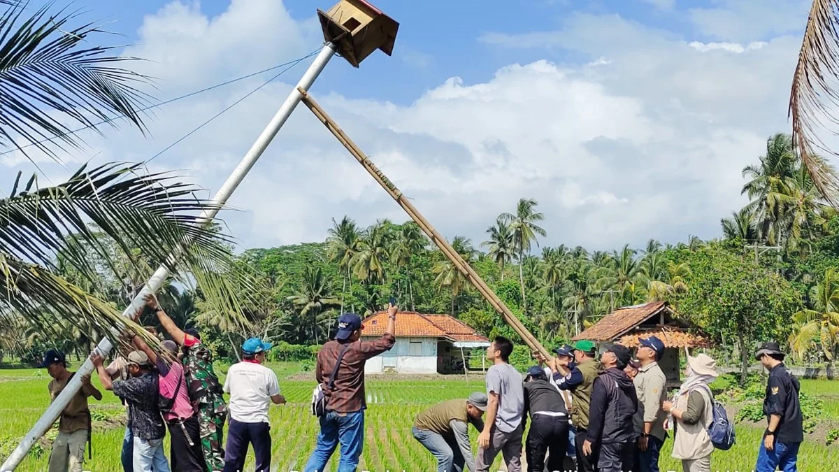 rumah burung hantu